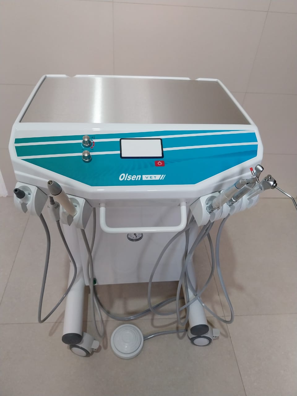 Equipamento odontológico Olsen Vet em uso na Cã-Cão